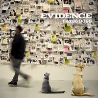 To Be Continued... - Evidence