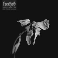 I, Flatline - Leeched
