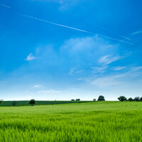 Keeping It Calm - White Noise Research, Restaurant Music Academy, Sounds Of Nature Relaxation