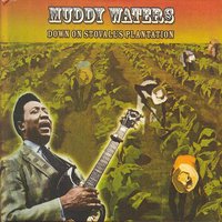 You're Gonna Miss Me When I'm Gone (Number Two - Previously Unissued) - Muddy Waters