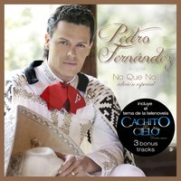 No Que No - Pedro Fernández