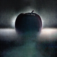 Shadow - Chromatics
