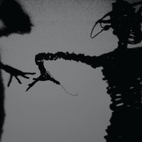 Waves - The Twilight Singers