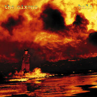 Phoenix - The Nixons