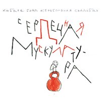 Морозы - Серебряная свадьба