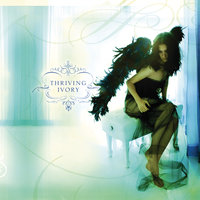 Hey Lady - Thriving Ivory