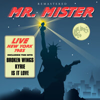 Something Real - Mr. Mister