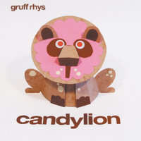 Beacon in the Darkness - Gruff Rhys