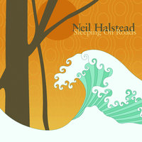High Hopes - Neil Halstead