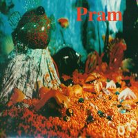 Three Wild Georges - Pram