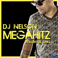 No Quiere Novio - DJ Nelson