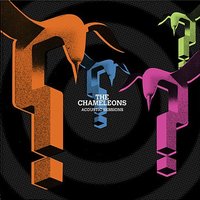 Tears (This Never Ending Now) - The Chameleons