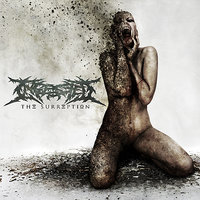 The Consequence - Ingested