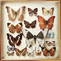 Unemployed in Summertime - Emiliana Torrini, Junior Sanchez