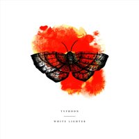 Artificial Light - Typhoon