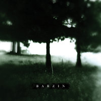Past All Concerns - Barzin