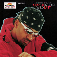 About Life - Apache Indian