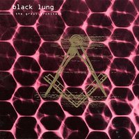The Social Experiment - Black Lung
