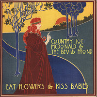 Flying High - Country Joe McDonald, The Bevis Frond