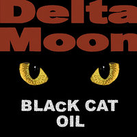 Jukin' - Delta Moon