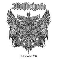 Unknown Road - Wolfbrigade