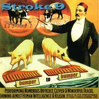 Shake Yo Booty - Stroke 9