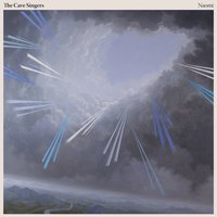 Shine - The Cave Singers