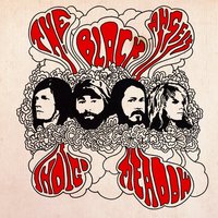 Evil Things - The Black Angels