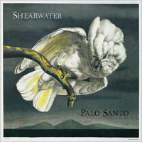 My Only Boy - Shearwater