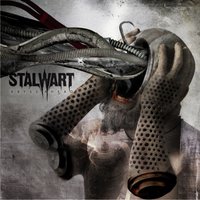 My destination - Stalwart
