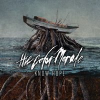 Learned Behavior - The Color Morale