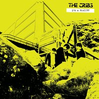 Kind Words from the Broken Hearted - The Cribs