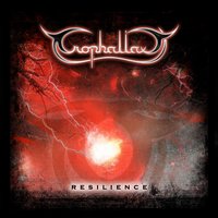Devil's Score - Trophallaxy