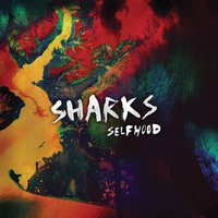 Sunday's Hand - Sharks