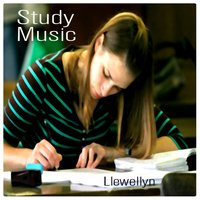 Just for Today - Llewellyn