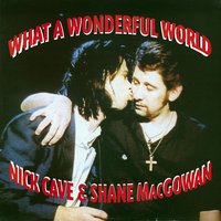 Shane MacGowan