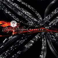 Schall Und Rauch - Project Pitchfork