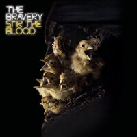 The Spectator - The Bravery