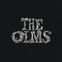 Twice As Nice - The Olms