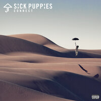 Run - Sick Puppies