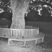 Dull Boys - Archy Marshall