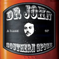 Quitters Never Win - Dr. John