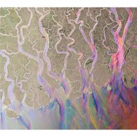 Taro - alt-J