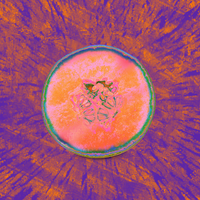 8am - NVDES