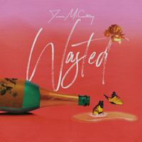 Wasted - Jesse McCartney