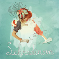 Take Off - Schradinova