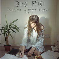 Intro - Biig Piig, Mac Wetha