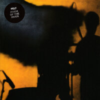 Silver Plane - Felt