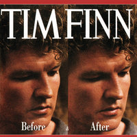 Hit The Ground Running - Tim Finn