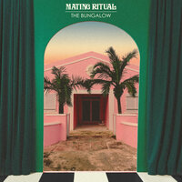 Elastic Summer - Mating Ritual